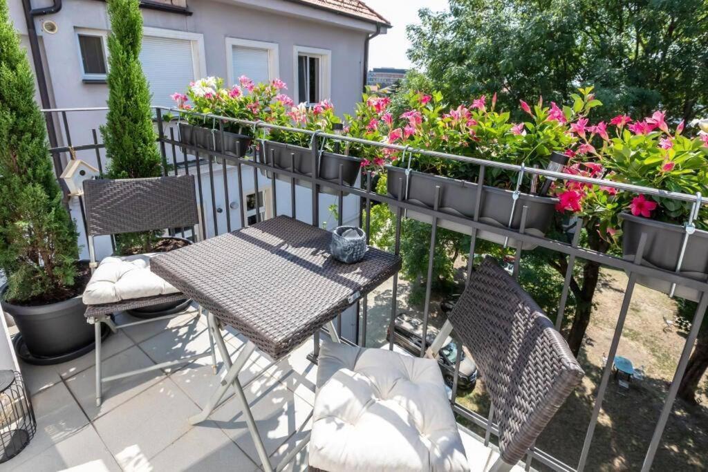 Old Town Apartment Bratislava Exterior photo